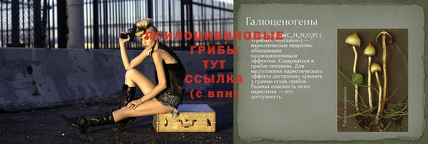 дурь Горнозаводск