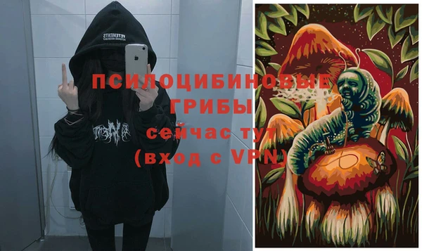 дурь Горнозаводск