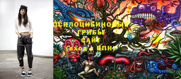 ECSTASY Вяземский