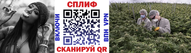 Канабис Ganja  Данков 